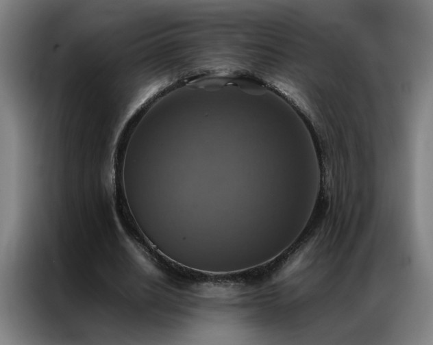 X0000087330630200704201128