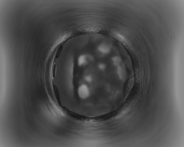 X0000087330634200704201128