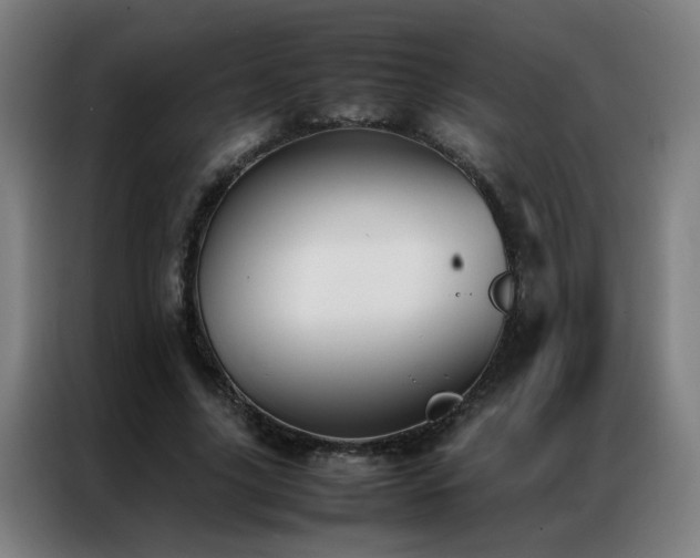 X0000087330635200704201128