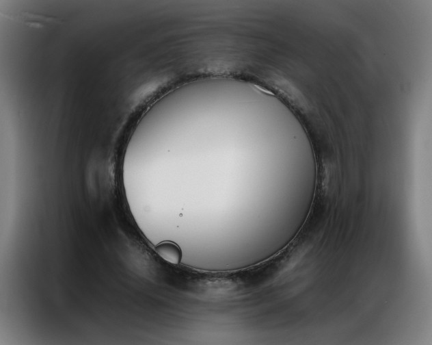 X0000087330636200704201128