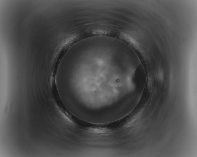 X0000087330637200704201128