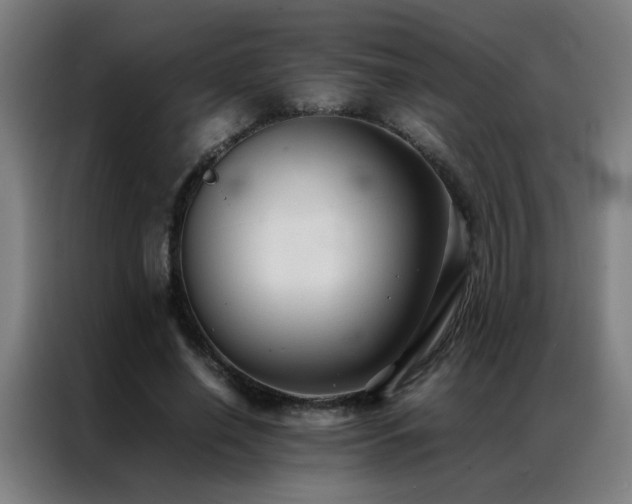 X0000087330638200704201128