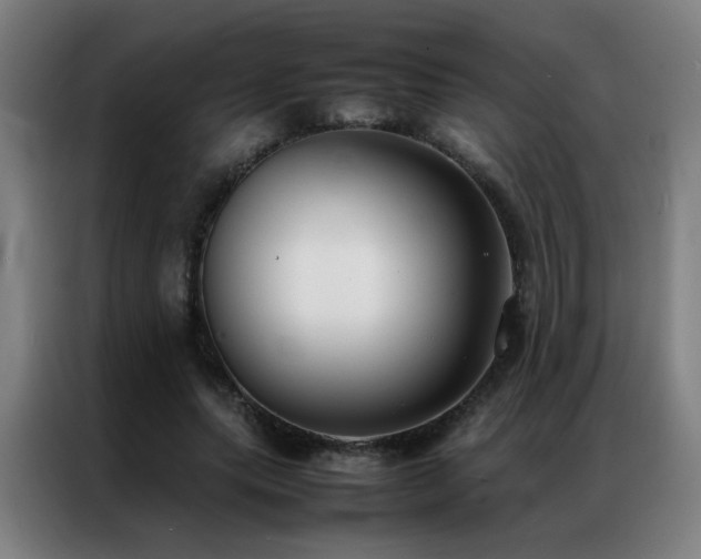 X0000087330639200704201128