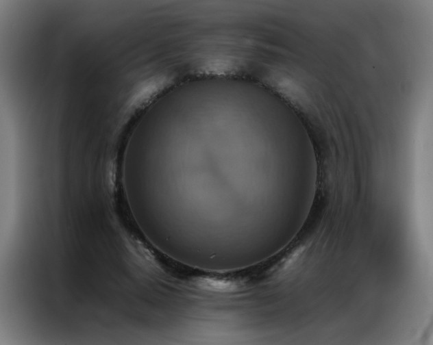 X0000087330640200704201128