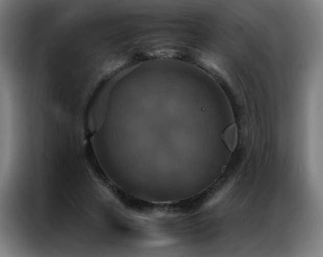 X0000087330641200704201128