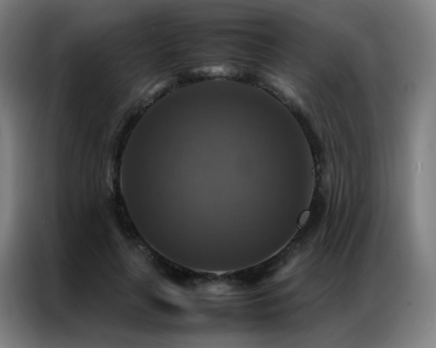 X0000087330643200704201128