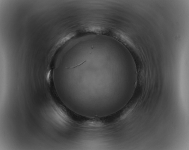 X0000087330644200704201128