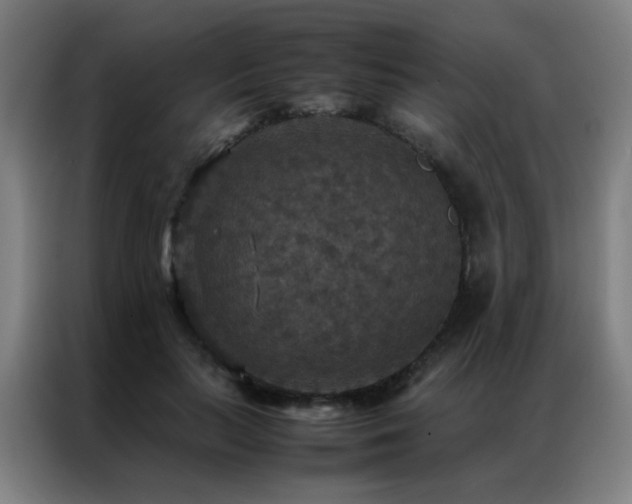 X0000087330647200704201128