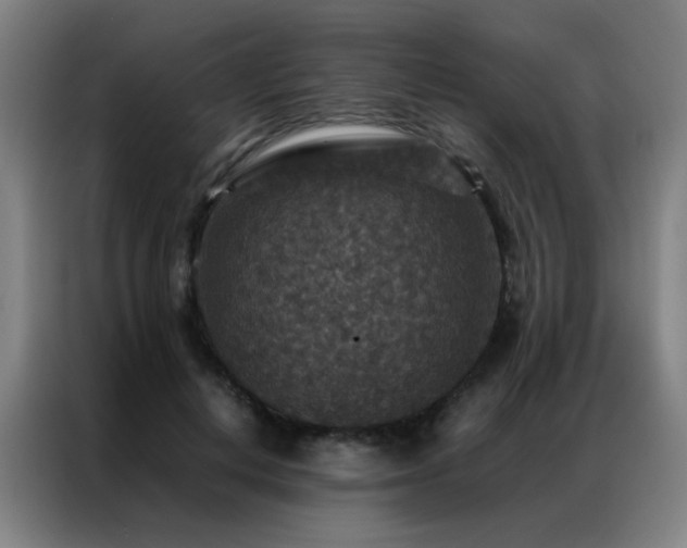X0000087330648200704201128