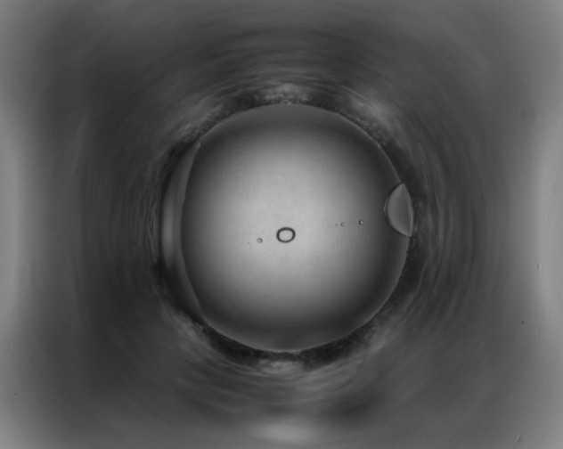 X0000087330649200704201129