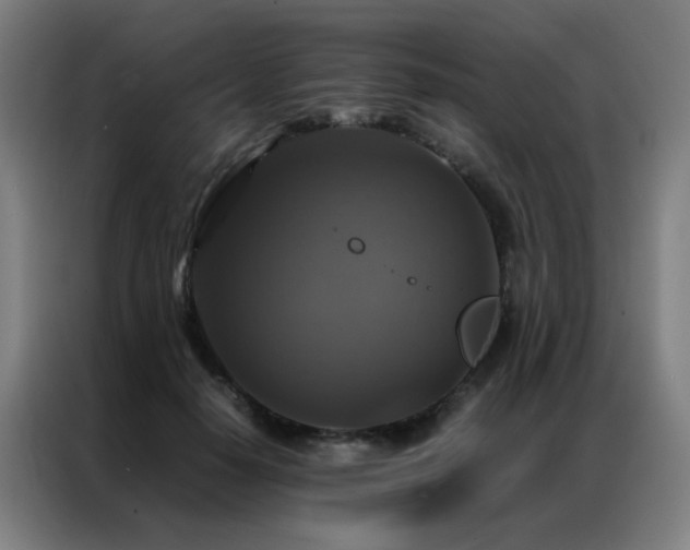 X0000087330650200704201129