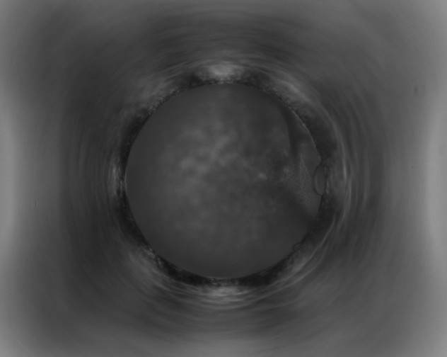 X0000087330651200704201129