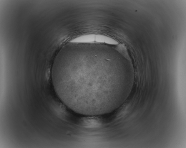 X0000087330652200704201129