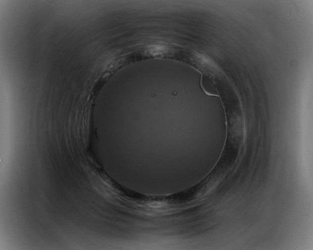 X0000087330653200704201129