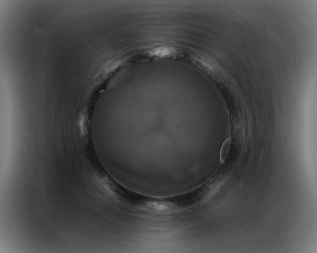 X0000087330654200704201129