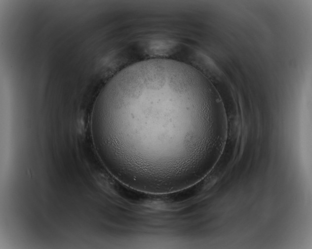 X0000087330655200704201129