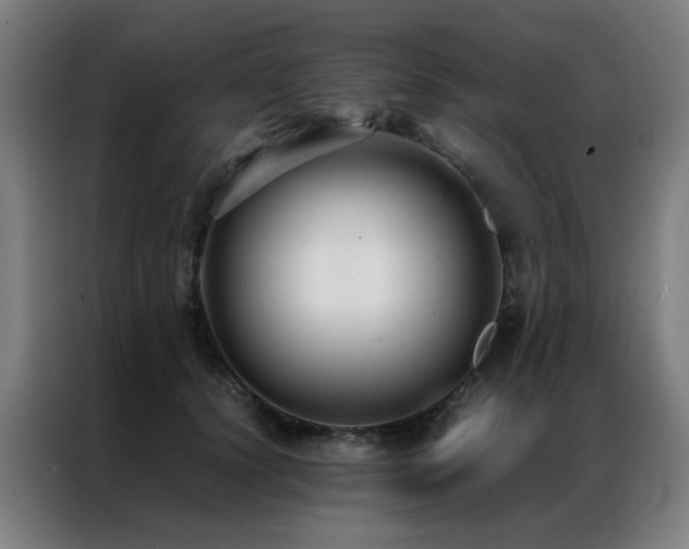 X0000087330656200704201129