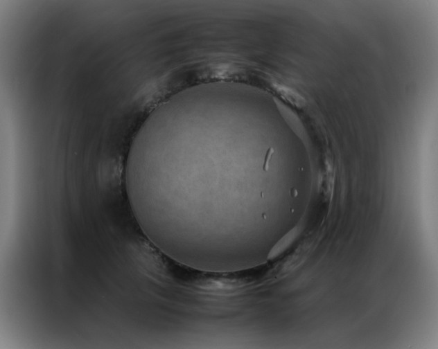X0000087330657200704201129