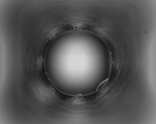 X0000087330660200704201129