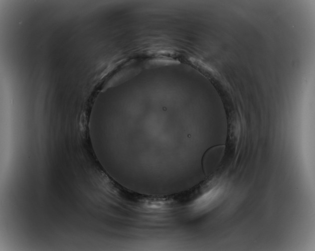 X0000087330661200704201129