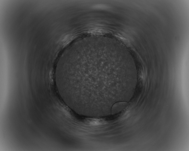 X0000087330663200704201129