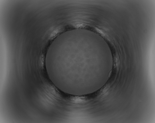 X0000087330664200704201129