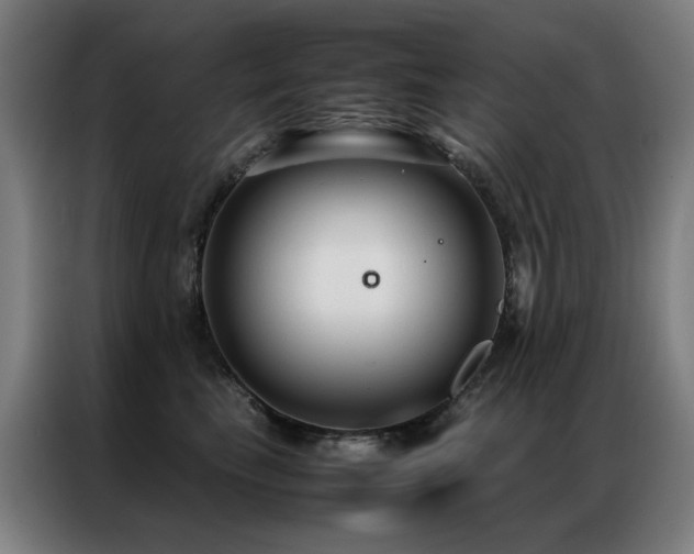X0000087330665200704201129
