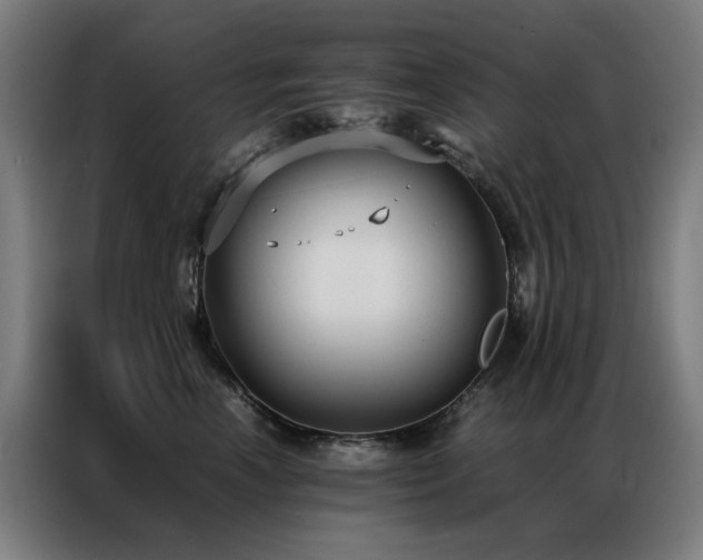 X0000087330666200704201129