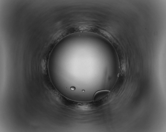 X0000087330667200704201129