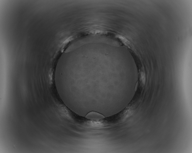 X0000087330668200704201129
