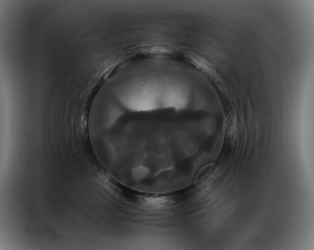 X0000087330669200704201129