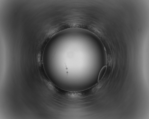 X0000087330670200704201129