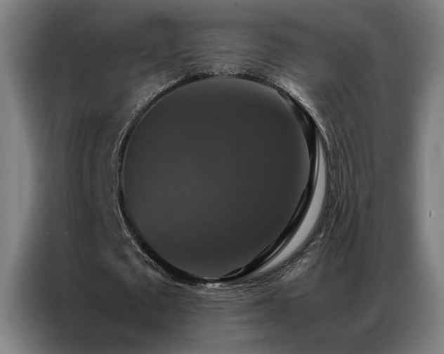 X0000087330673200704201128