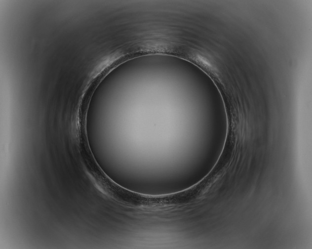 X0000087330674200704201128
