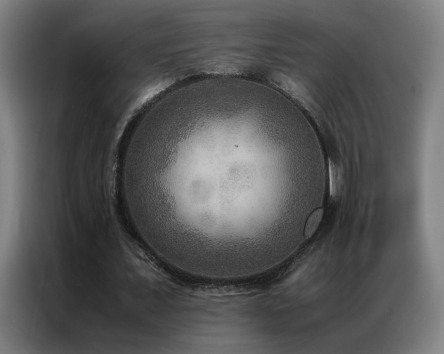 X0000087330675200704201128