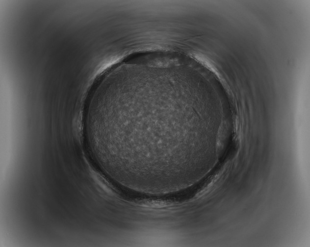 X0000087330677200704201128