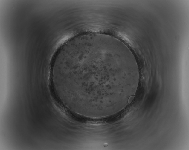 X0000087330679200704201128