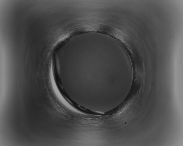 X0000087330681200704201128