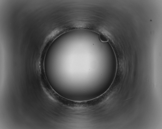 X0000087330682200704201128
