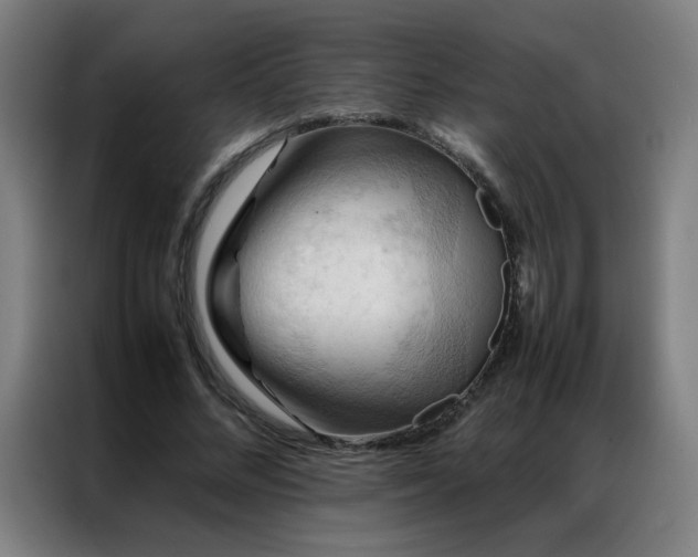 X0000087330684200704201128