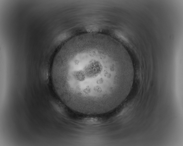 X0000087330687200704201128