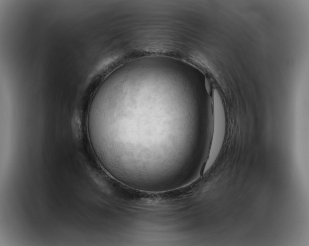 X0000087330688200704201128