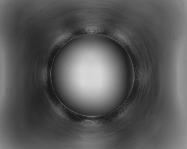 X0000087330690200704201128