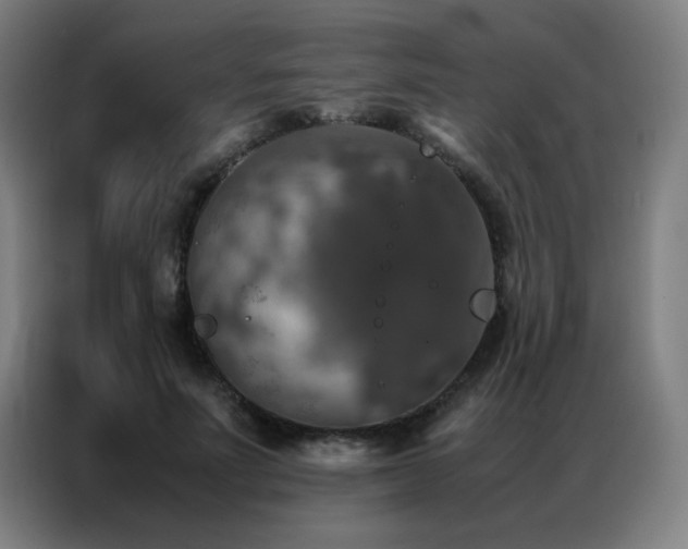 X0000087330691200704201128