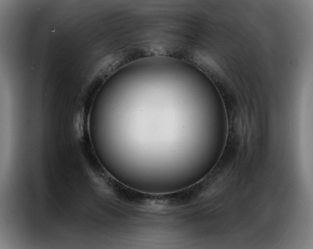 X0000087330694200704201128