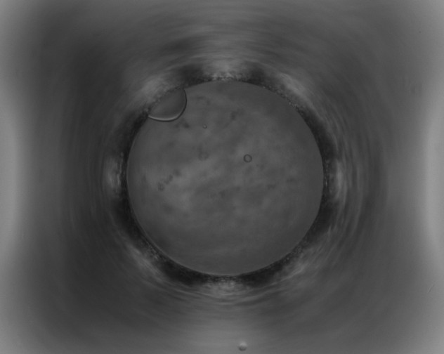X0000087330695200704201128