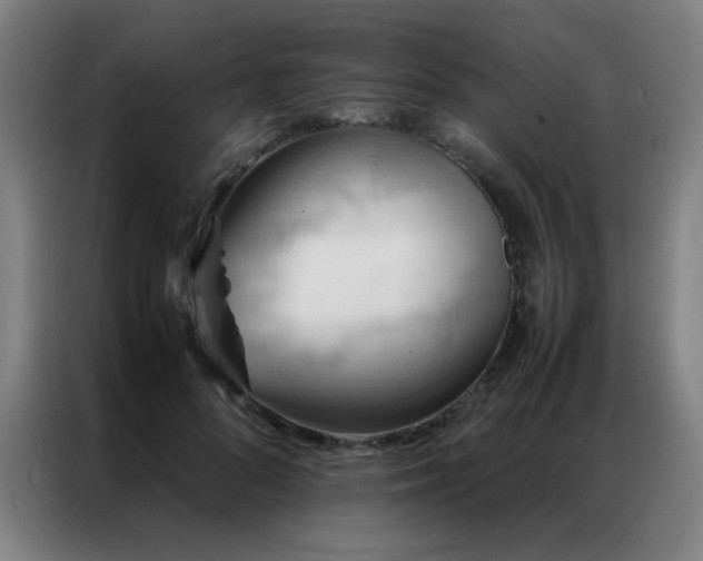 X0000087330696200704201128