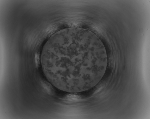 X0000087330699200704201128