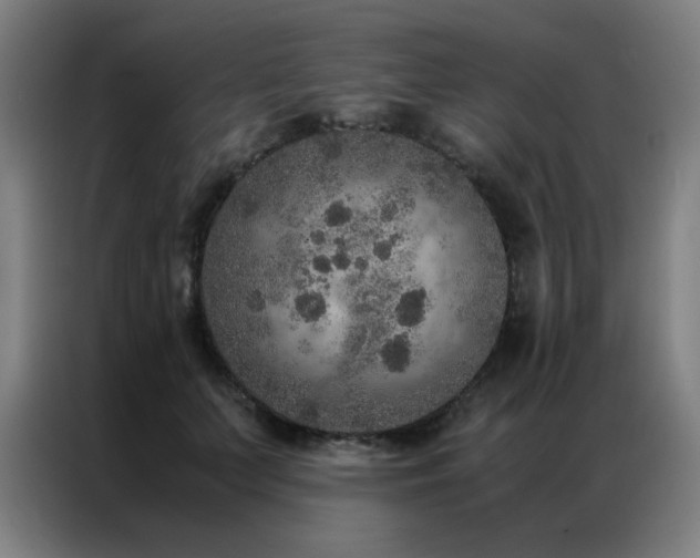 X0000087330703200704201128