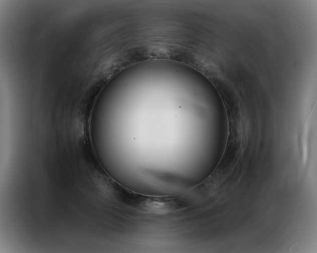 X0000087330706200704201128